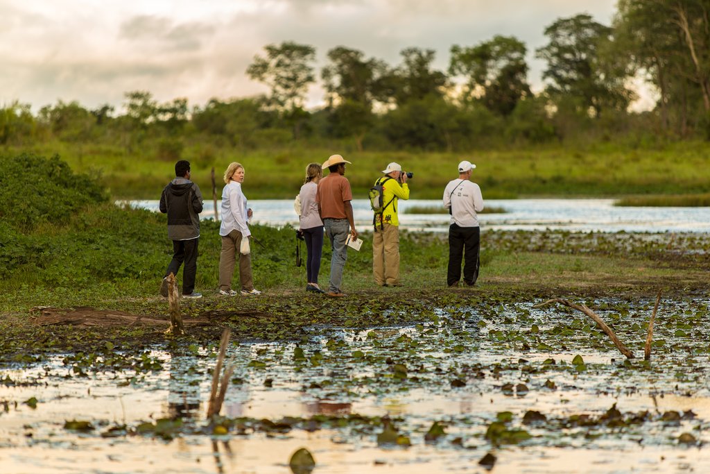 Pantanal wetlands