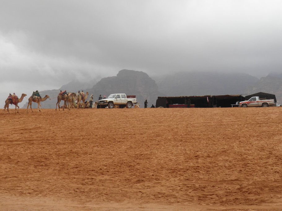 Camels and vehicles in Wadi Rum desert
