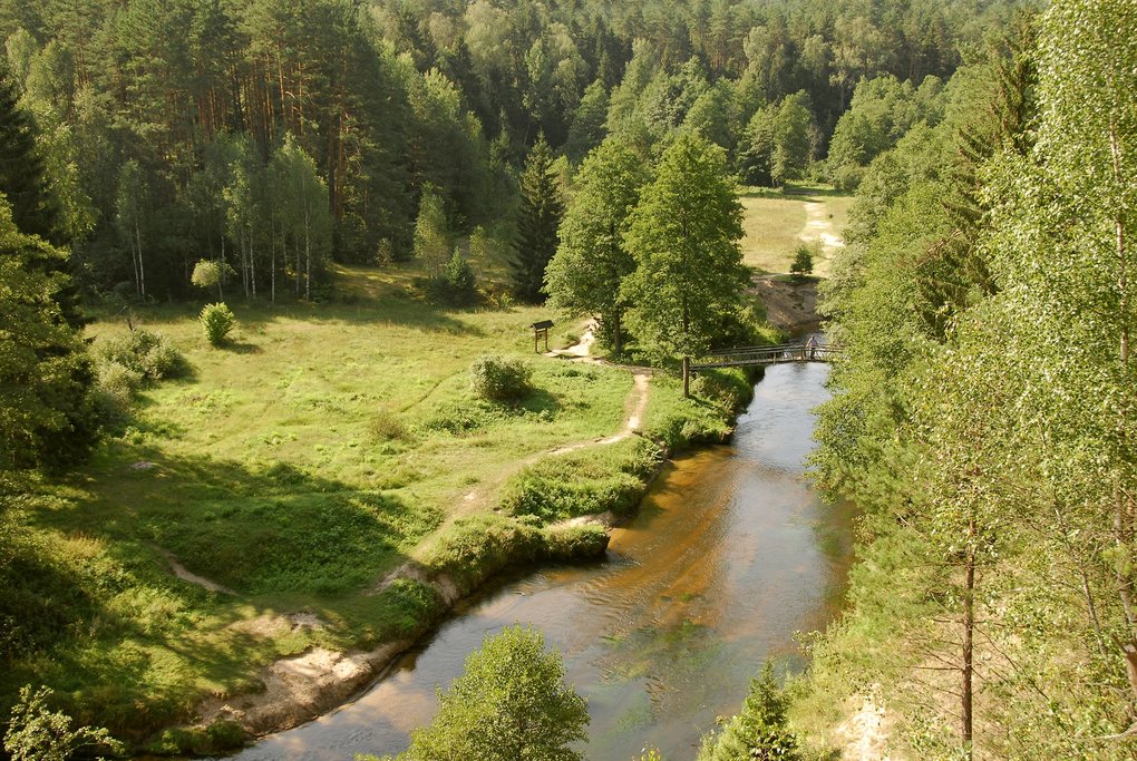River, Dzukija National Park