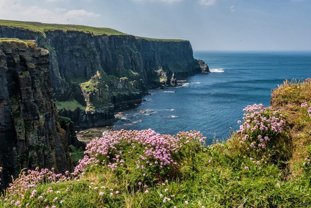 Cliffs in bloom