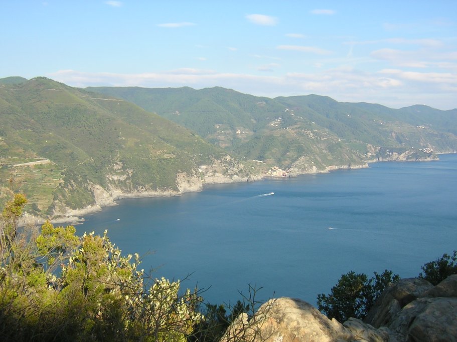 Panorama