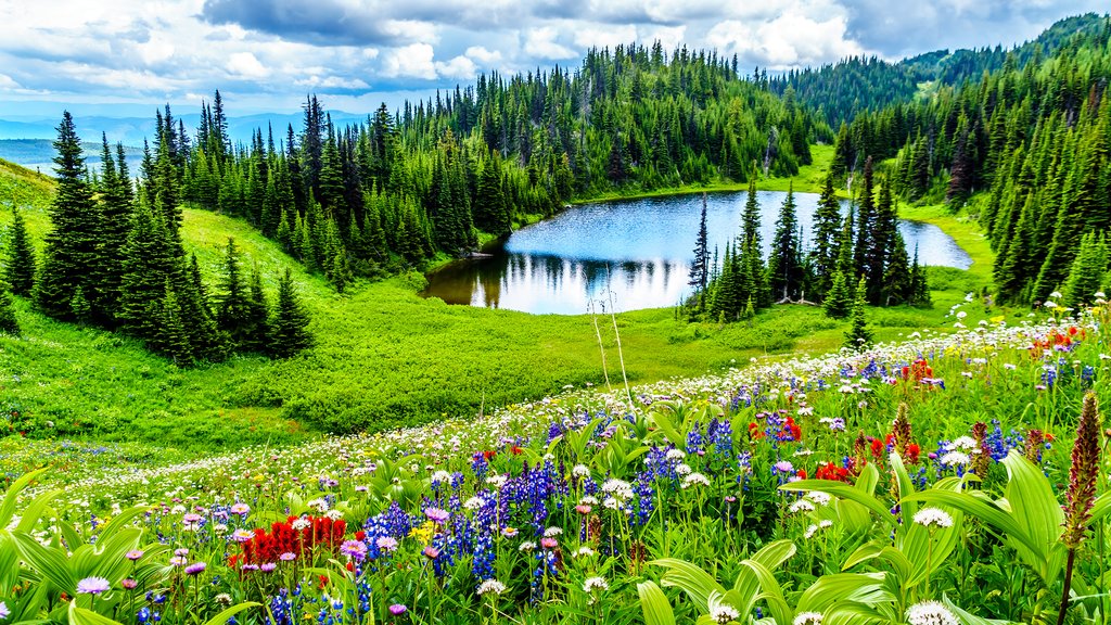 Tod Lake near Sun Peaks Resort