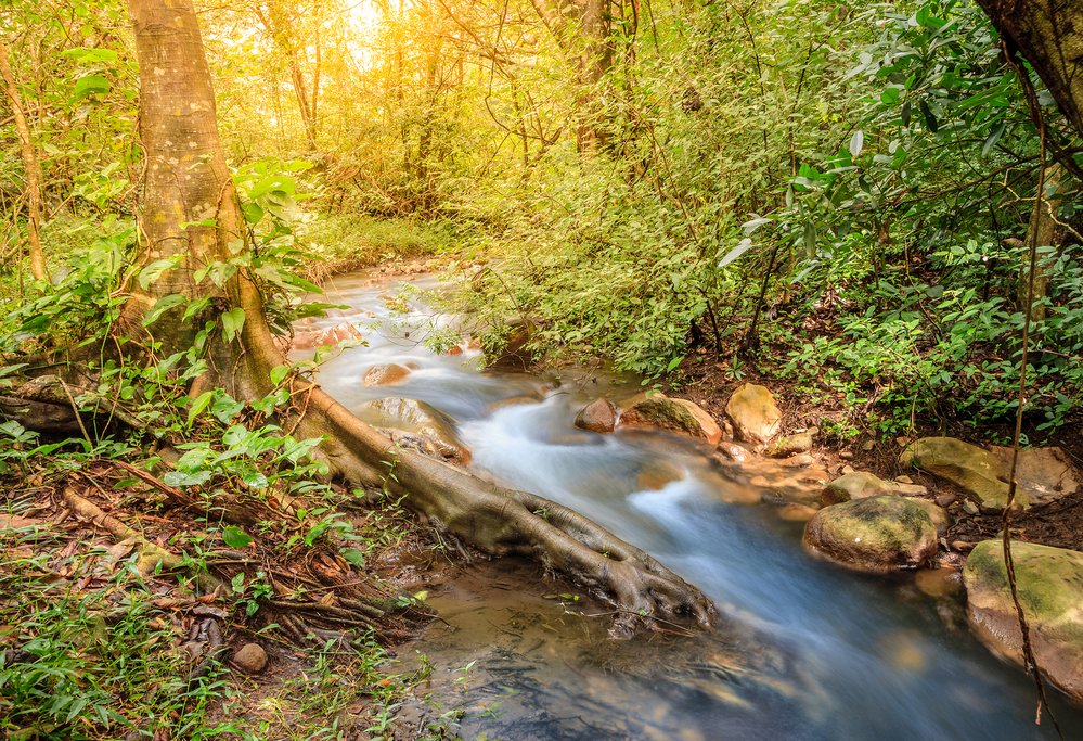 Take a scenic trail walk through Rincón de la Vieja National Park