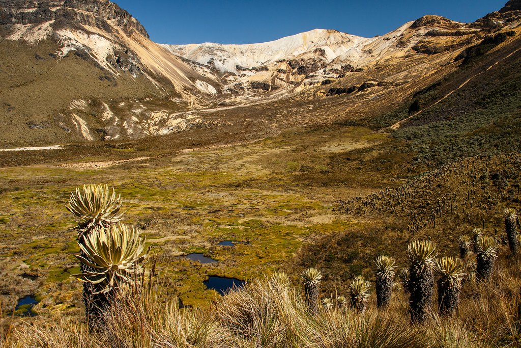 Los Nevados National Park