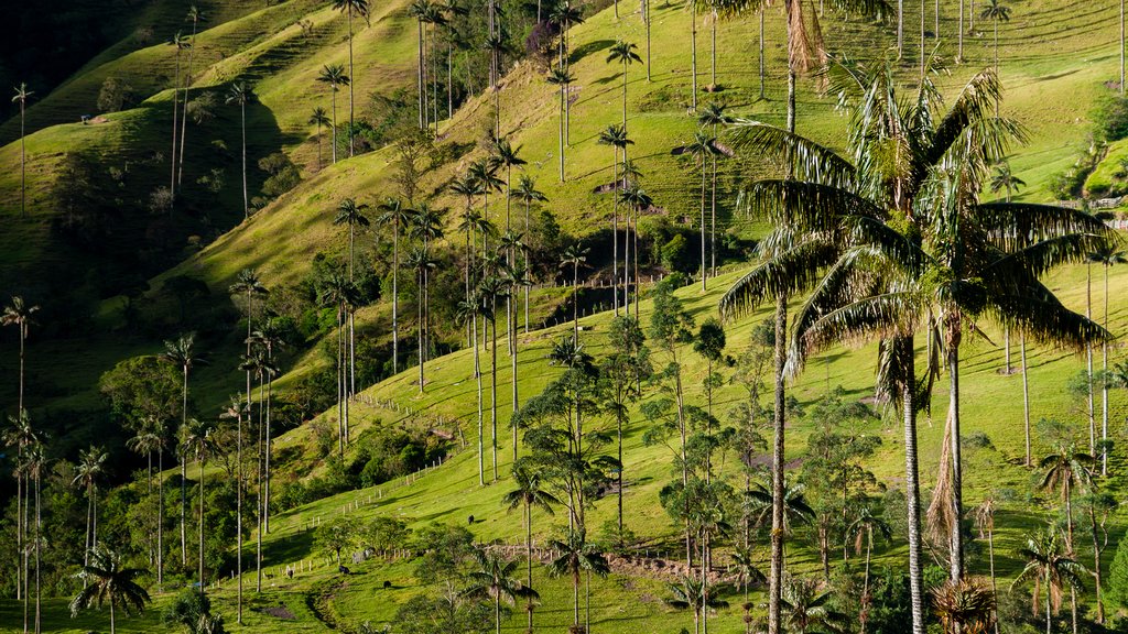 A local guide will lead you on this hike.
