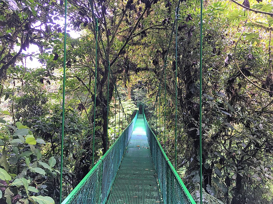 Monteverde Hanging Bridges