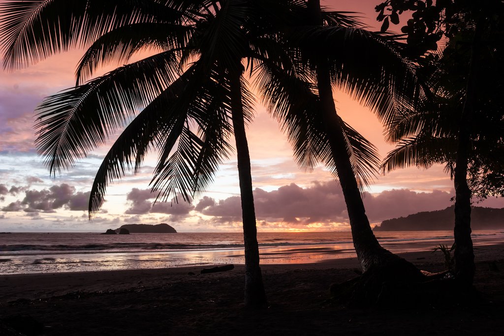 Farewell, Manuel Antonio