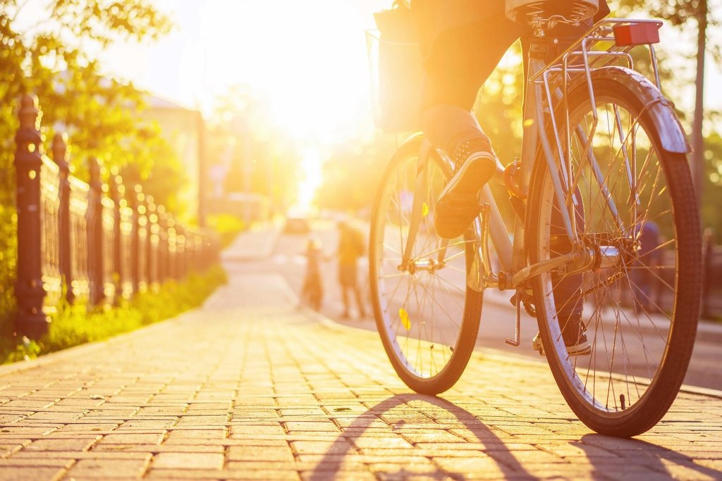 Ride along shaded streets