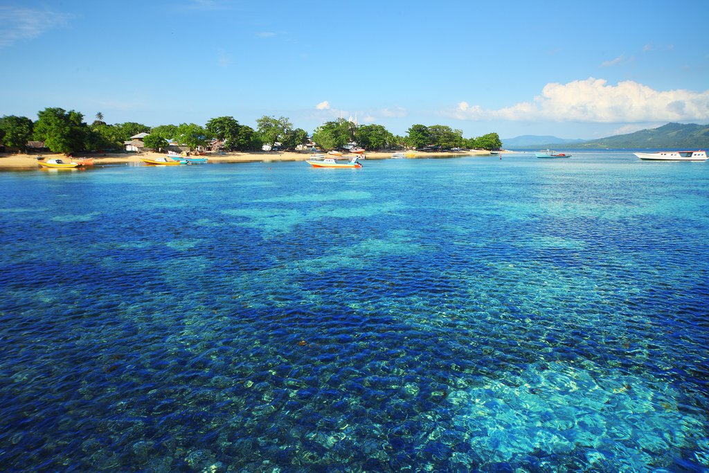 North Sulawesi, Indonesia - Coral reef in Bunaken national park