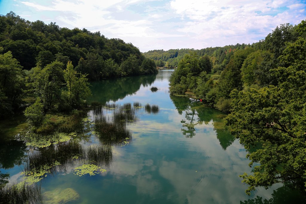 Mreznica river