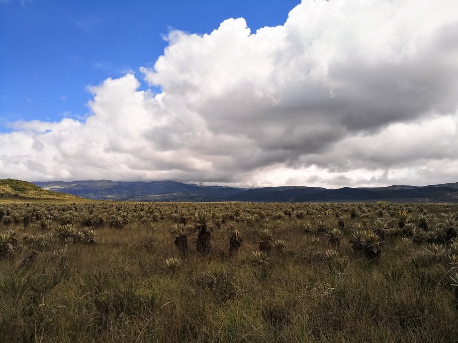 Purace National Natural Park, Colombia