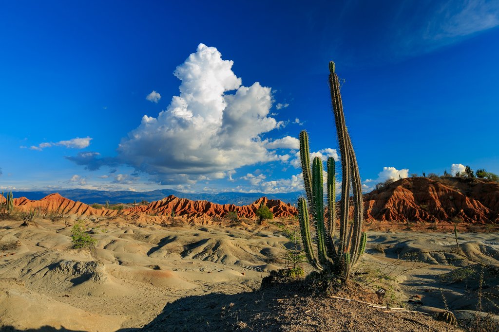 Tatacoa Desert, Colombia