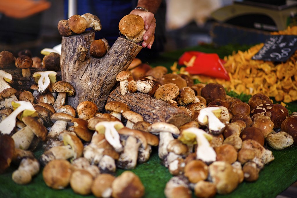 Wild mushrooms in a French marketplace