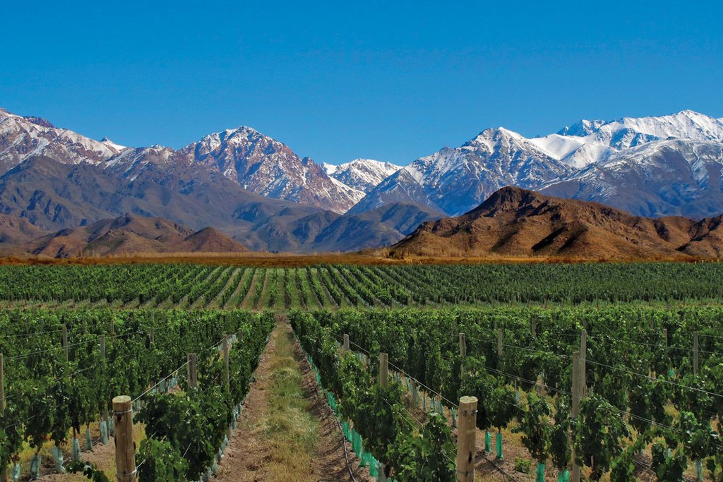 Most Mendoza vineyards have the benefit of the Andes as a backdrop.