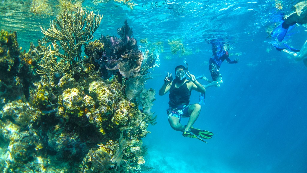 Snorkel the Aquarium