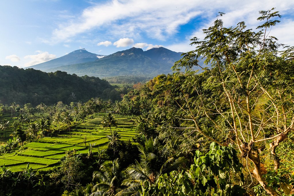 Make your way through the jungle as you head from Senggigi to Senaru