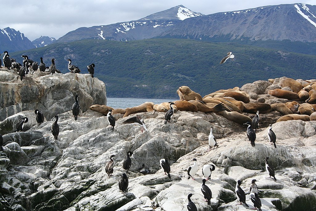 Isla de los Lobos, Ushuaia