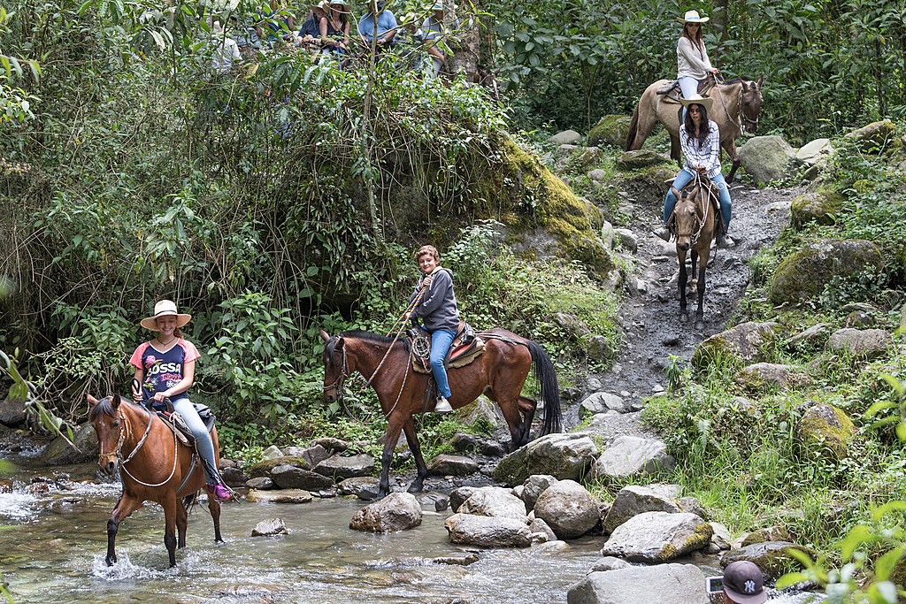 Horseback riding in the Cocora Valley