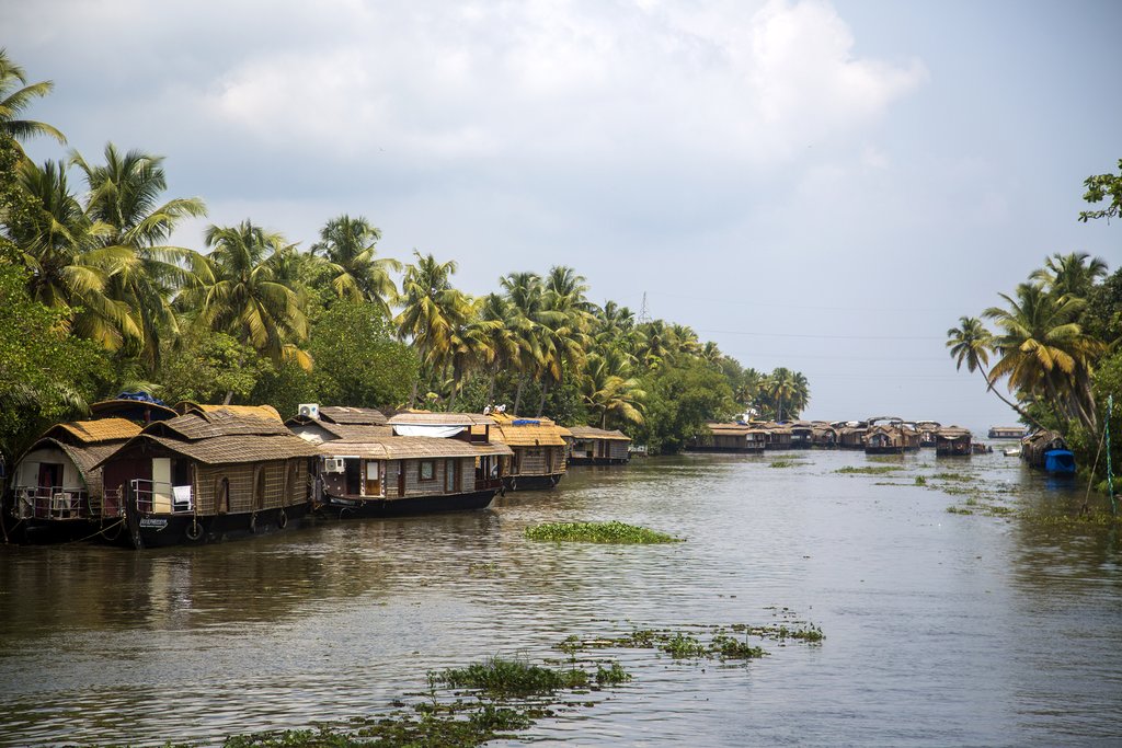 Kerala backwaters