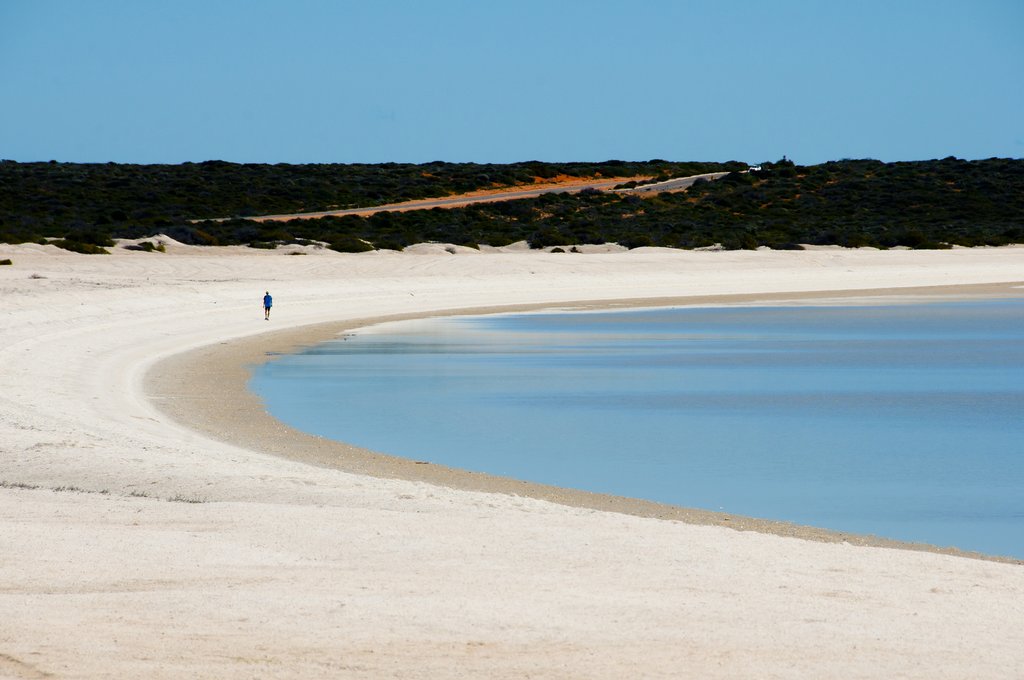 Shark Bay