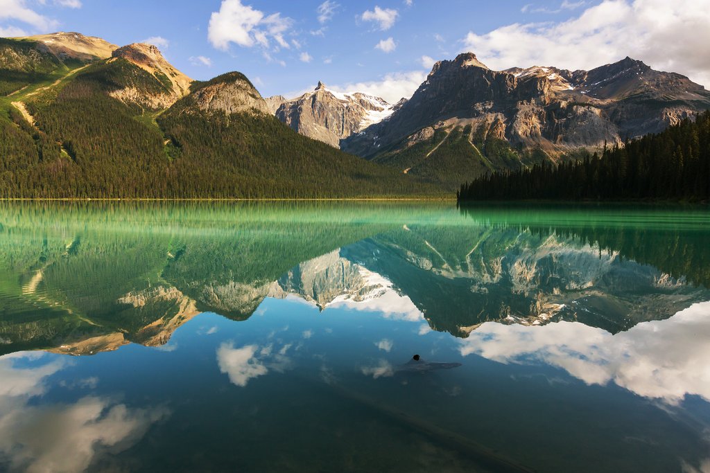 Serene Emerald Lake in Yoho National Park