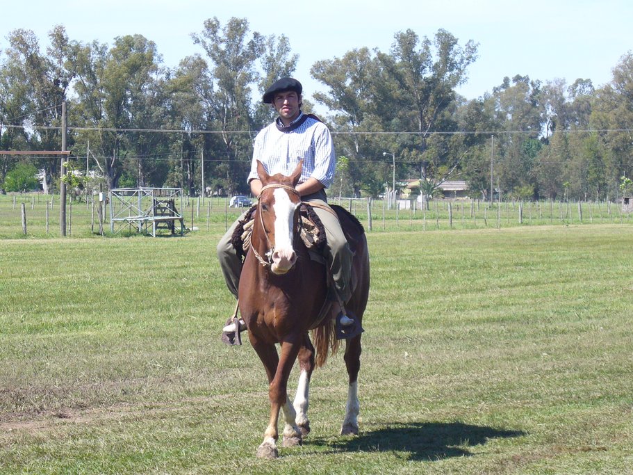 Argentinean Gaucho
