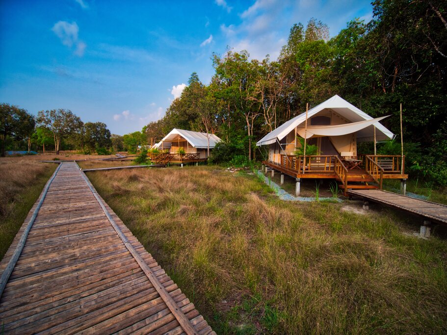 Comfortable tents at Cardamom Tented Camp