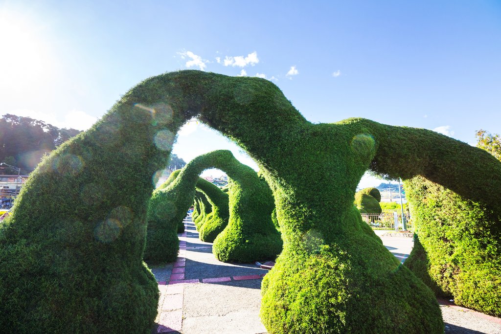 Unique topiaries of the Zarcero Gardens