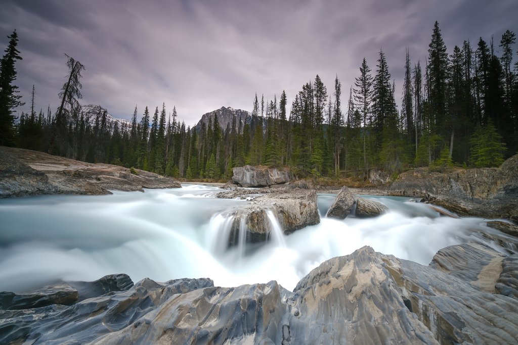 Mount Revelstoke National Park