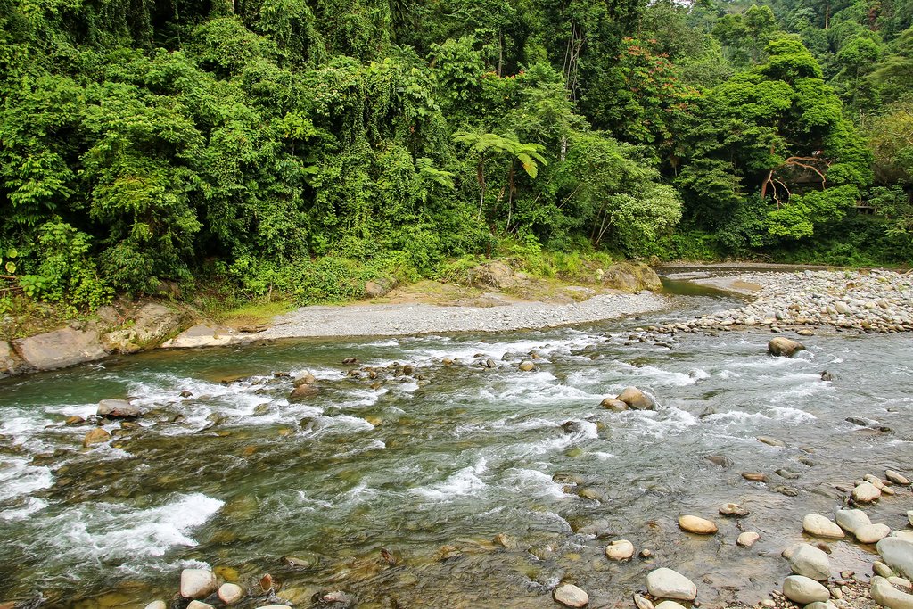 Enjoy the amazing nature as you trek through Gunung Leuser NP