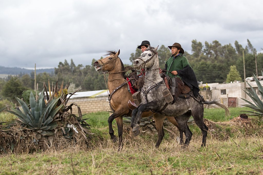 Local chargas (cowboys) will accompany us on our walk through cattle country.
