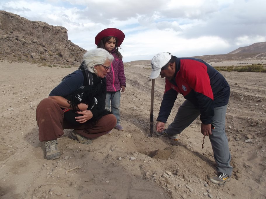Planting quinoa near Santiago K.