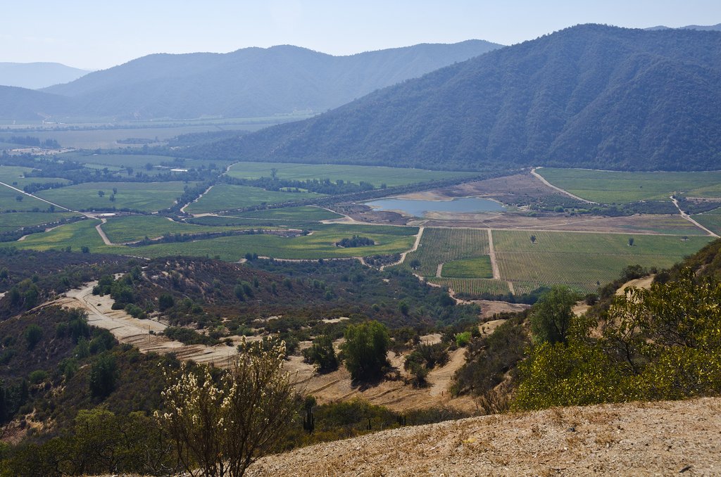 Beautiful Casablanca Valley landscape