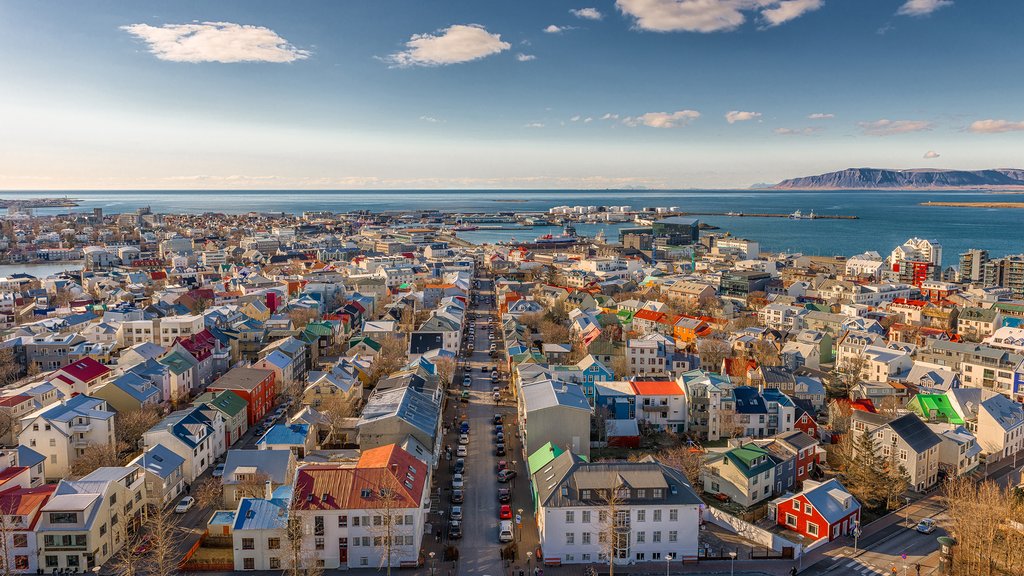 A view of Reykjavik from the church tower