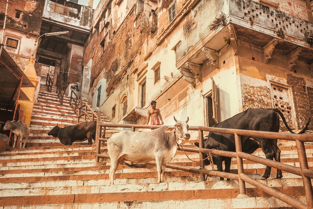 Explore the local side of Varanasi on a walking tour