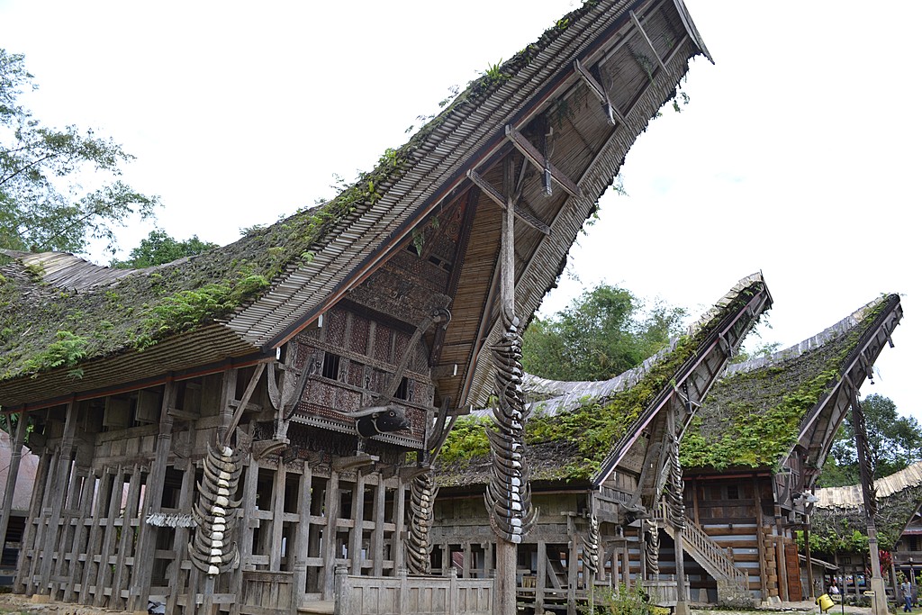 Travel from Makassar to Rantepao