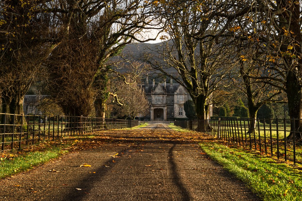Muckross