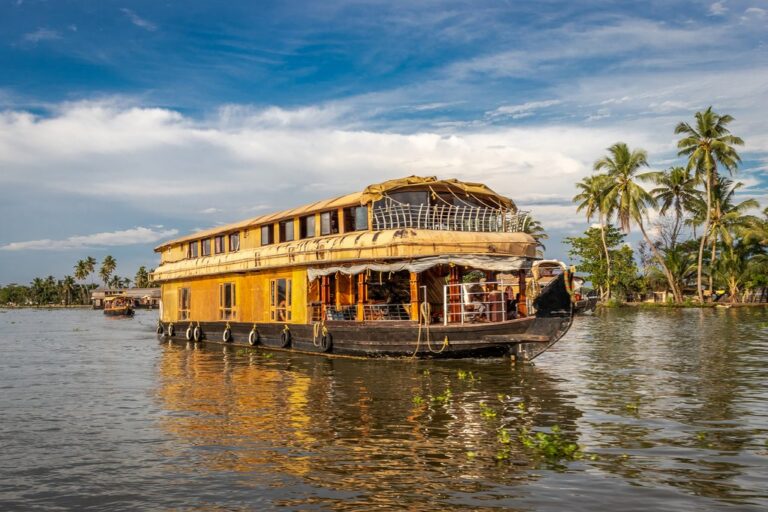 Relaxing Kerala:  Cochin, Munnar, the Backwaters, and Marari Beach - 7 Days