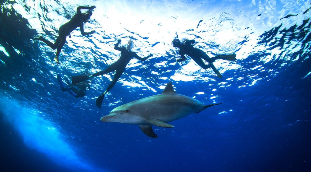 White Island & Ras Mohamed National Park Snorkeling Boat Trip 