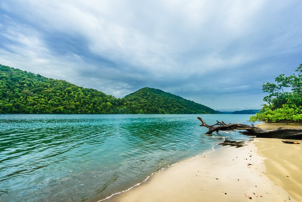 Beach in National Natural Park Utría