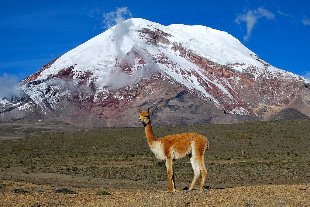 Acuña in front of Mt. Chimborazo