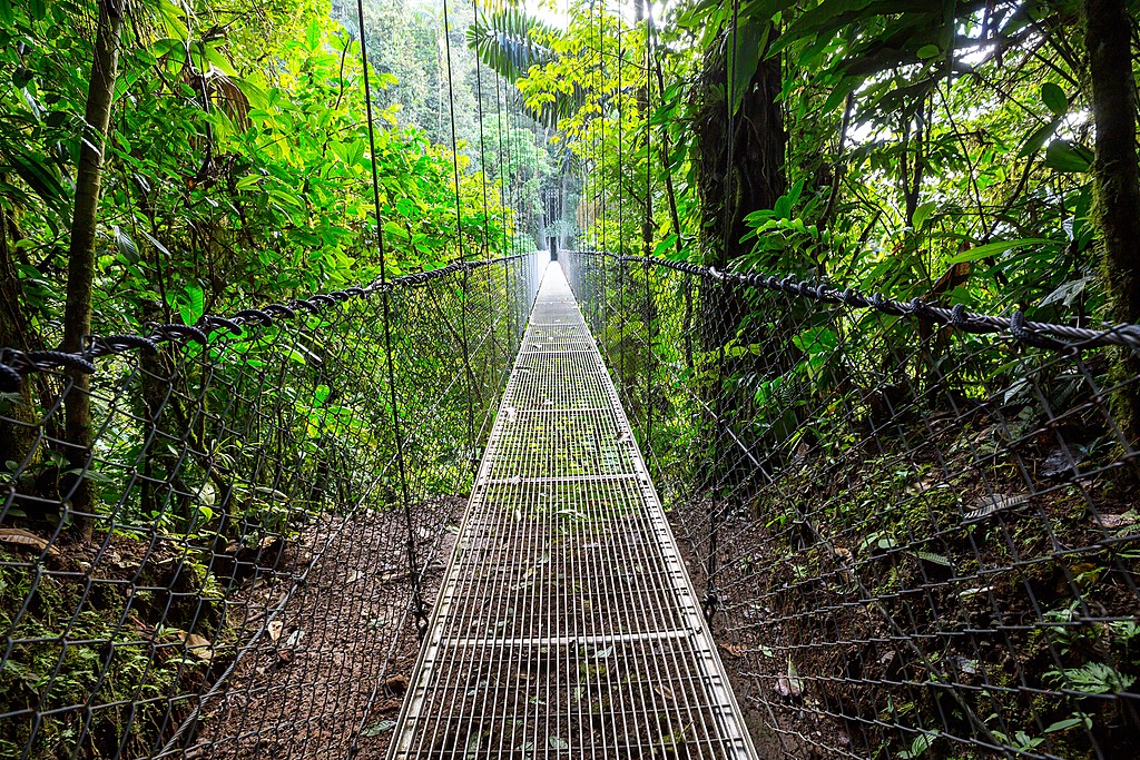 The hanging bridges at Mistico afford breathtaking views of Arenal and an astounding array of wildlife
