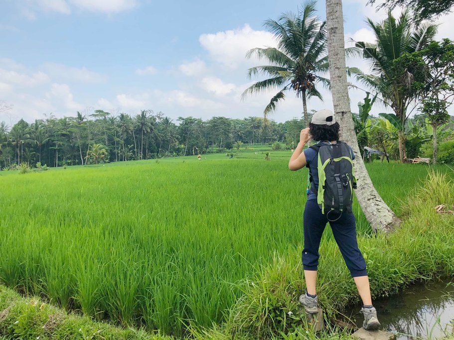 In the rice paddies