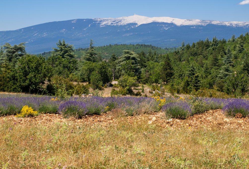 Mont Ventoux