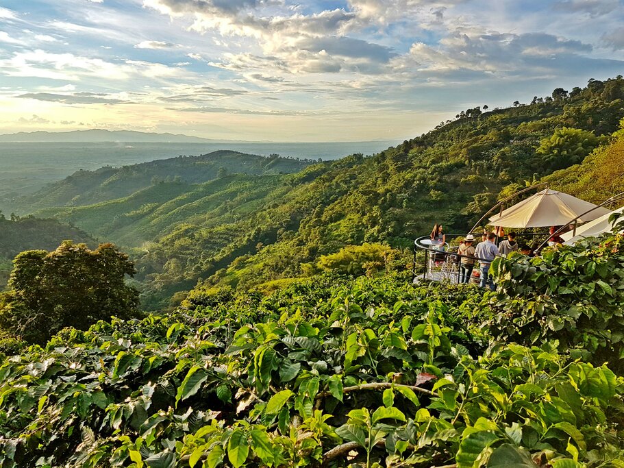 Coffee Farm Visit