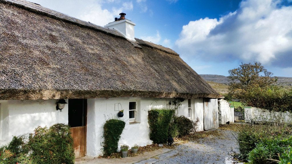 Ireland's traditional houses