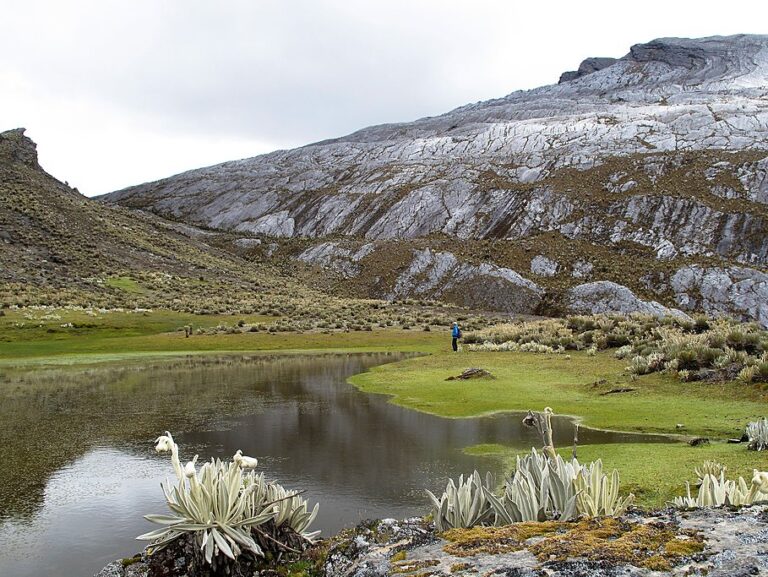 Bogotá's Active Adventure: Bike, Hike, and Climb - 6 Days
