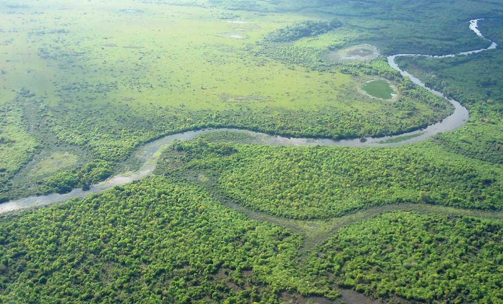 Aerial view of the Pantanal wetland