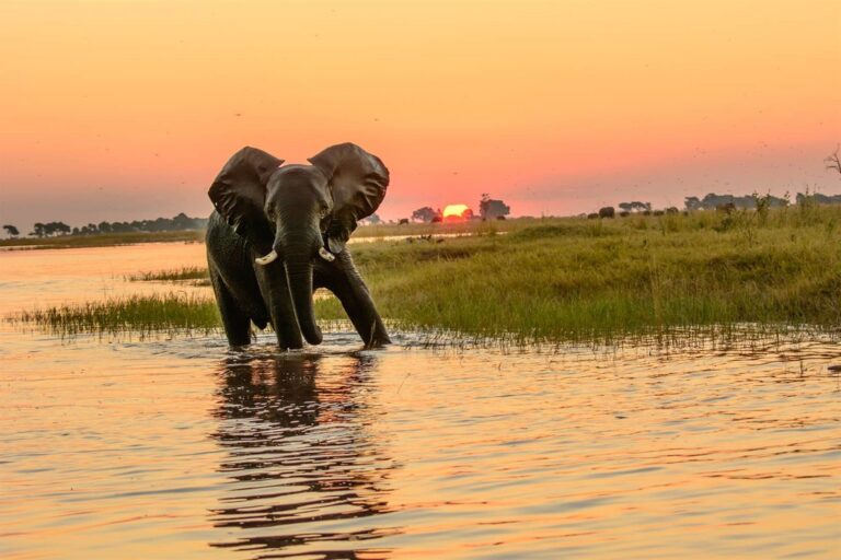 Highlights of Botswana & Zimbabwe - 7 Days