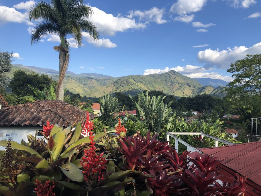 Views at the coffee farm